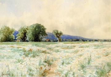  dai Painting - The Daisy Field Alfred Thompson Bricher